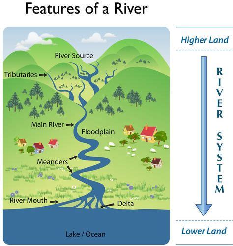 Environmental Sciences: Aquatic Ecosystems - River or Stream