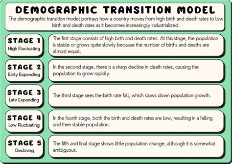 All 5 Demographic Transition Model Stages, Explained (2024)