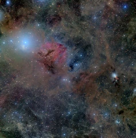 APOD: 2023 January 12 - Stardust in Perseus