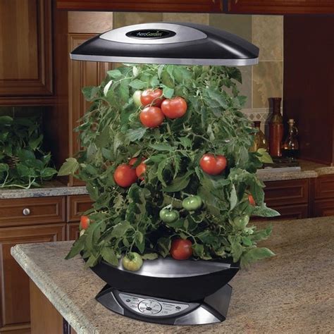 Indoor hydroponic systems – the perfect idea for a home garden