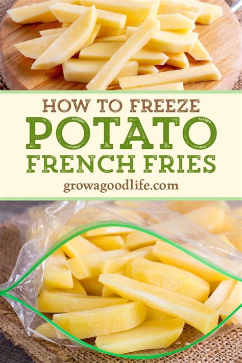 How to freeze homemade french fries – Artofit