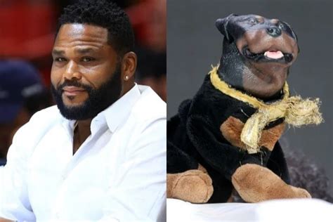 'Masked Singer' Season 2 Gets Anthony Anderson, Triumph the Insult Comic Dog as Guest Judges ...