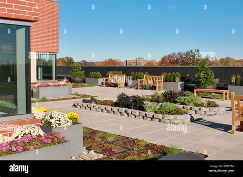 green roof installation on a commercial building Stock Photo - Alamy