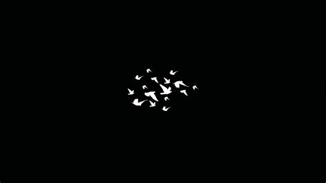 1920x1080 Birds Flying Minimalist Dark 4k Laptop Full HD 1080P HD 4k ...