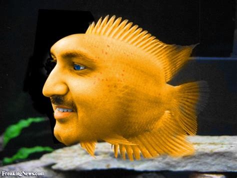 Human Fish Hybrids | Fish, Fish face, Fish pet