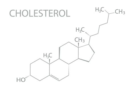 Cholesterol molecular skeletal chemical formula 36465244 Vector Art at Vecteezy