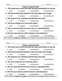 Figures Of Speech Quiz Worksheets & Teaching Resources | TpT