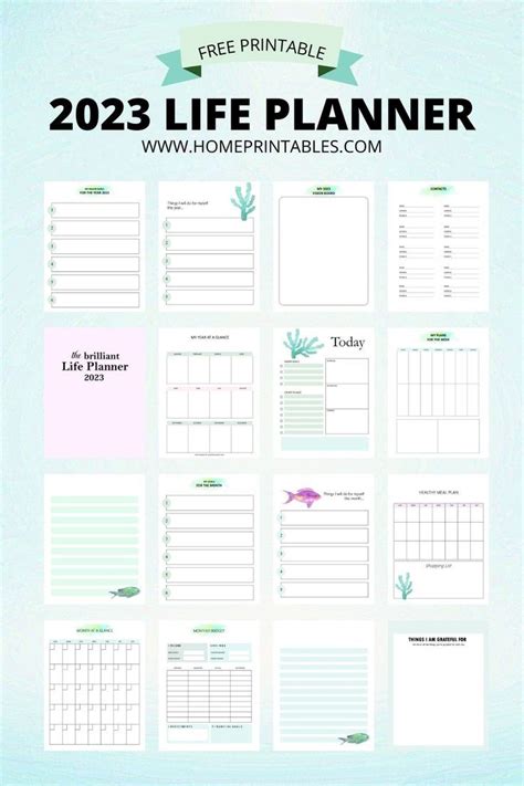 Planner 2023 PDF Free Download: 40 Awesome Printables! | Study planner printable, Free printable ...