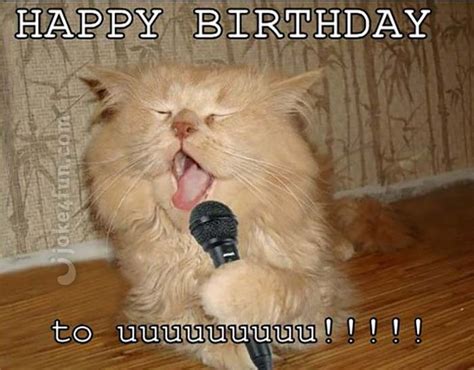 101 Funny Cat Birthday Memes for the Feline Lovers in Your Life Cat Birthday Memes, Cat Birthday ...