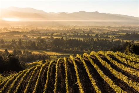 Discover Napa Valley Wineries with the Best Views - The Visit Napa ...