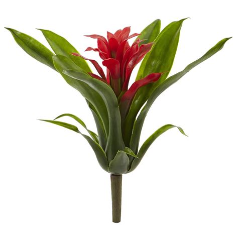 Red Bromeliad Flower Stem, 6ct. | Michaels