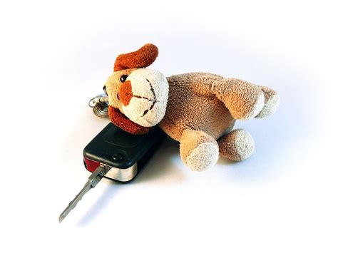 Free photo: Car, Keys, Key, Case, Dog, Toy - Free Image on Pixabay - 1849