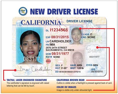 Waiting for a new DMV license? | Road Warrior