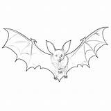Printable Bat Coloring Page  Mimi Panda sketch template