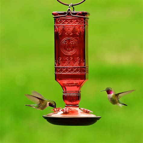 Best Hummingbird Feeder [2023] Top Unique Hummingbird Feeders