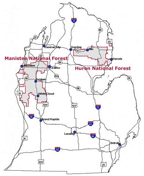 Michigan State Forest Map - Printable Map