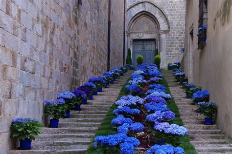 Best time to see Girona Flower Festival Flower Festival, Spring Festival, Girona, Flower Show ...