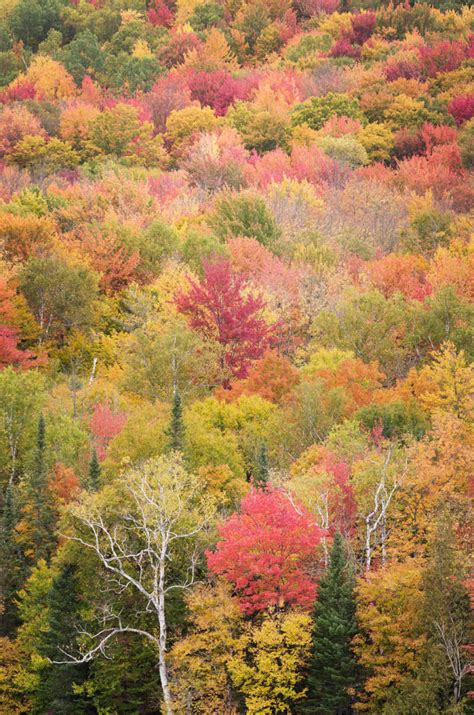 Vermont Fall Foliage - Alan Crowe Photography