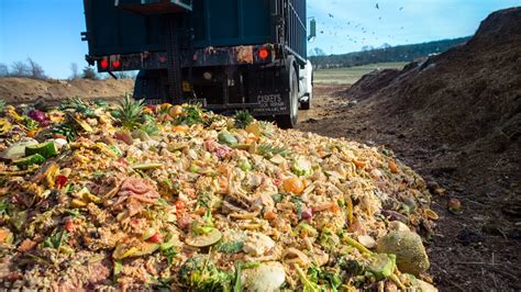 Turning Food Waste into Green Energy | GlobalSpec