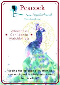 Peacock | Cosmic Animal Meanings, Messages & Dreams