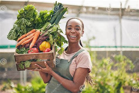 Woman, Vegetables Box and Agriculture, Sustainability or Farming for ...