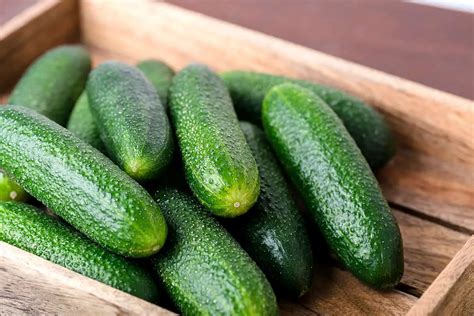 7 Small Cucumber Varieties - Plantglossary