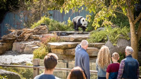 Adelaide Zoo General Admission Entry