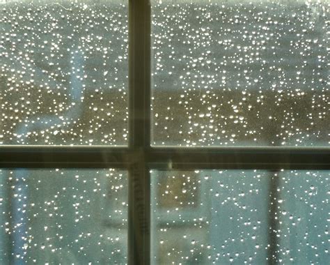 Window Pane: Rain On My Window Pane