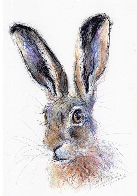 ORIGINAL A4 Pastel Drawing of a HARE by Animal Artist Belinda Elliott ...