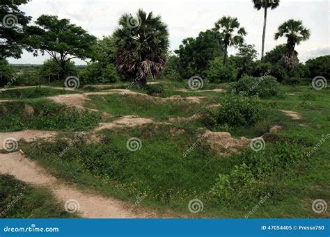 CAMBODIA KHMER ROUGE editorial image. Image of massgrave - 47054405