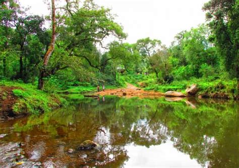 10 Kodaikanal Trekking Places, Trekking Places in Kodaikanal - Treebo