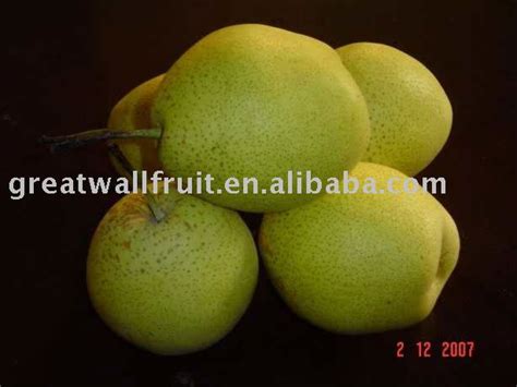 chinese white pear products,China chinese white pear supplier