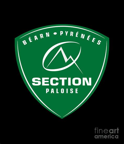 Section Paloise logo Digital Art by Alice Richter - Fine Art America