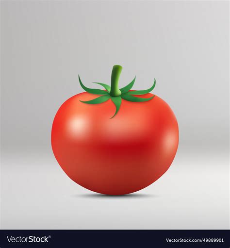 Tomato isolated on white background Royalty Free Vector