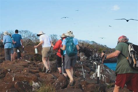 Best Time to visit Galapagos - Ecuador and Galapagos News