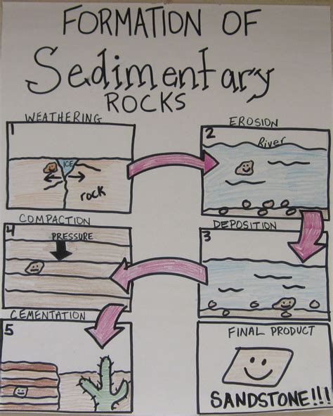 Formation of Sedimentary rocks anchor chart | Earth science lessons, Science lessons, Third ...