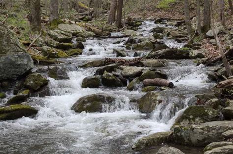 Shenandoah National Park Waterfalls | The Complete Guide - TMBtent