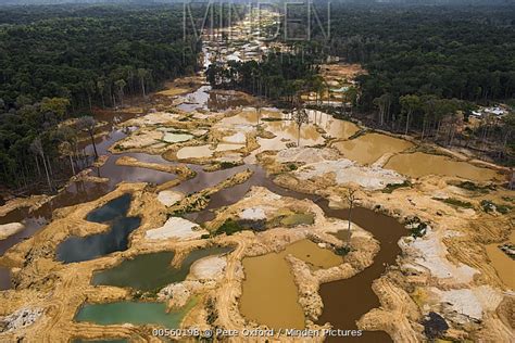 stock photo - Minden Pictures