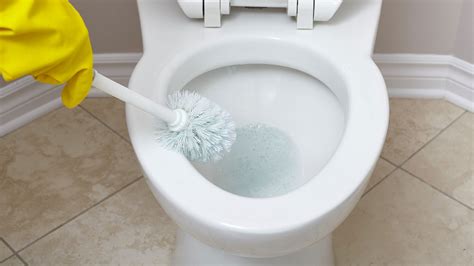 How To Get Poop Stains Off Of Toilet Seat | Storables