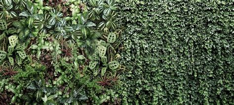 a wall covered in lots of green plants