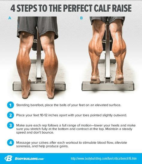 Perfect Calf Raises | Calf exercises, Weight training workouts, Workout