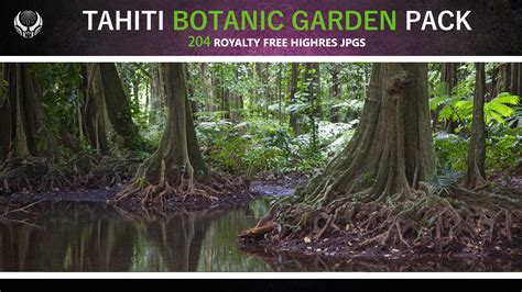 ArtStation - TAHITI BOTANIC GARDEN PACK | Resources