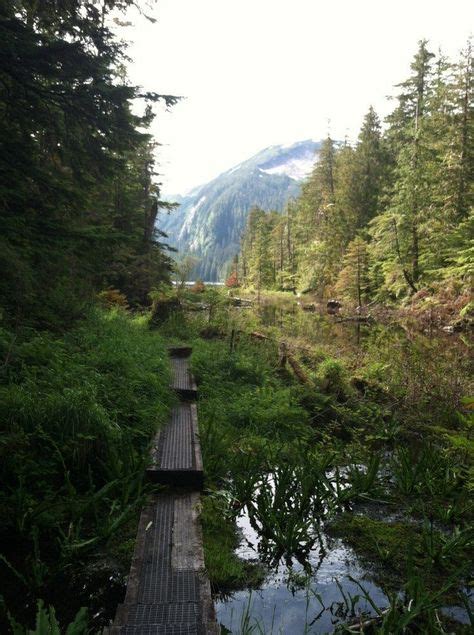 12 Best Hiking in Ketchikan images | Ketchikan alaska, Ketchikan, Alaska