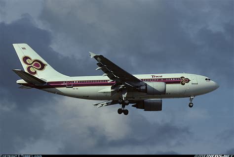 Airbus A310-204 - Thai Airways International | Aviation Photo #0913340 | Airliners.net