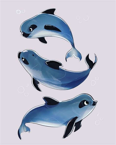 Erika Worthylake on Instagram: "Vaquitas 🐬 #dolphin #porpoise #vaquita #characterdesign" | Sea ...