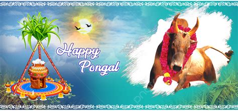 Happy Pongal Background, Happy Pongal, Pongal Wishes, Pongal Background ...