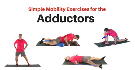 Simple Hip Adductor Stretches and and Mobility Exercises | Mobility exercises, Adductor workout ...