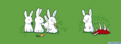 bunnies bunny funny animal animals Facebook Cover timeline photo banner for fb