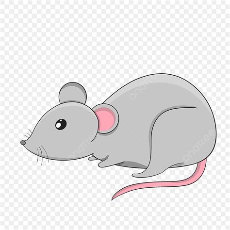 Clipart De Rato Do Lado Cinza Clipart De Rato PNG , Mouse Clipart, Rato ...