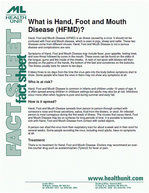 Hand, Foot and Mouth Disease (HFMD) — Middlesex-London Health Unit